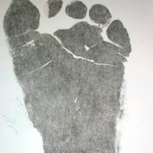 Meet your Posher, Joel